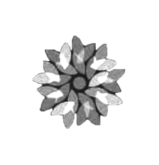 Heaven's 27 Foundation